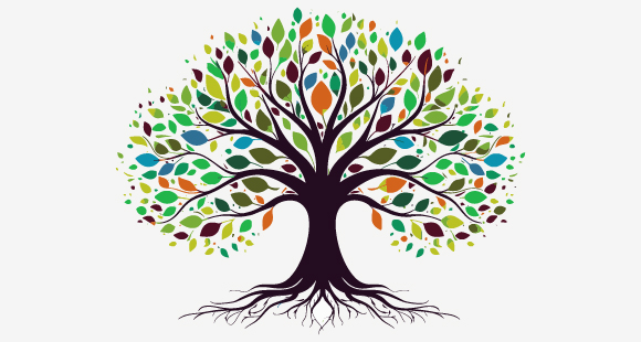 Embracing the Light: A Wellbeing Guide for Warmer Days As we transition into the warmer, sunnier days of spring and summer, it's the perfect time to cultivate a positive state of mind that aligns with the vibrant energy of the season